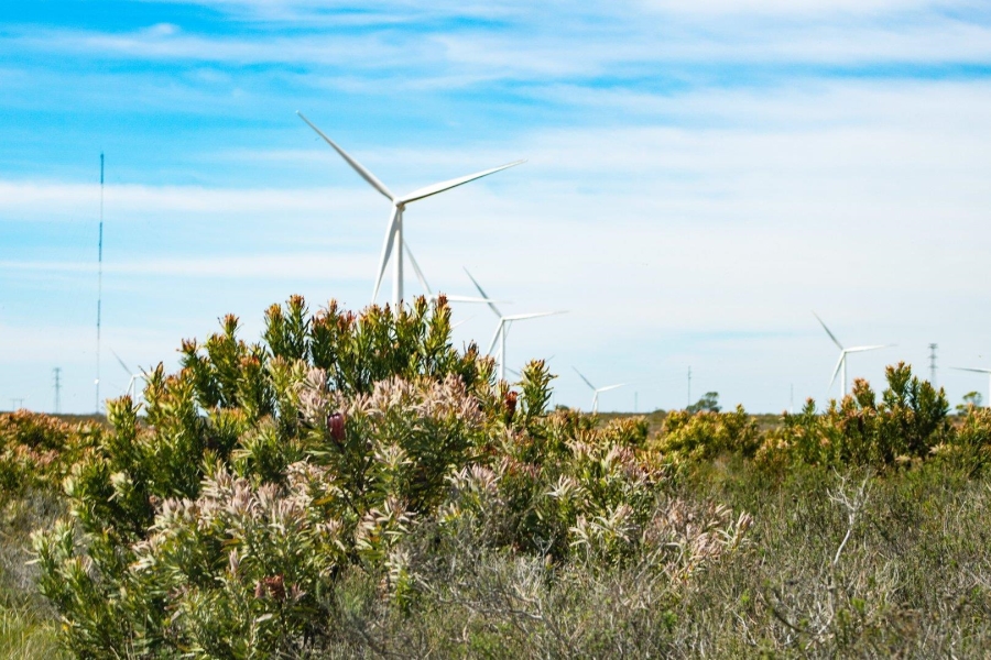 0 Bedroom Property for Sale in Humansdorp Rural Eastern Cape